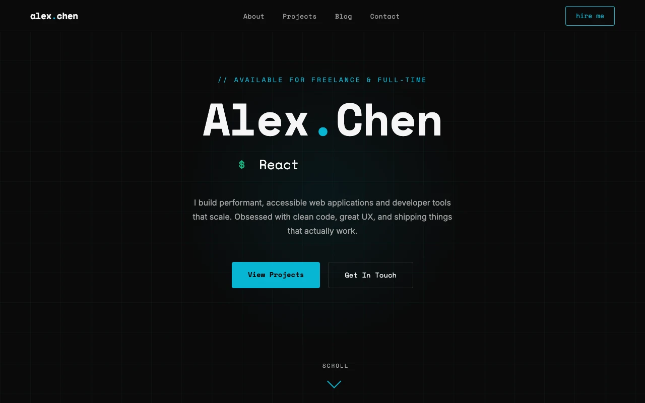 Developer Portfolio preview
